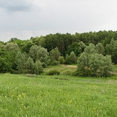 Пейзажи